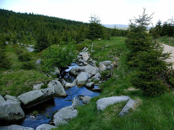 JIZERSKÉ HORY - HEJNICE,SMRK,SMĚDAVA